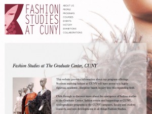 Fashion Studies Website