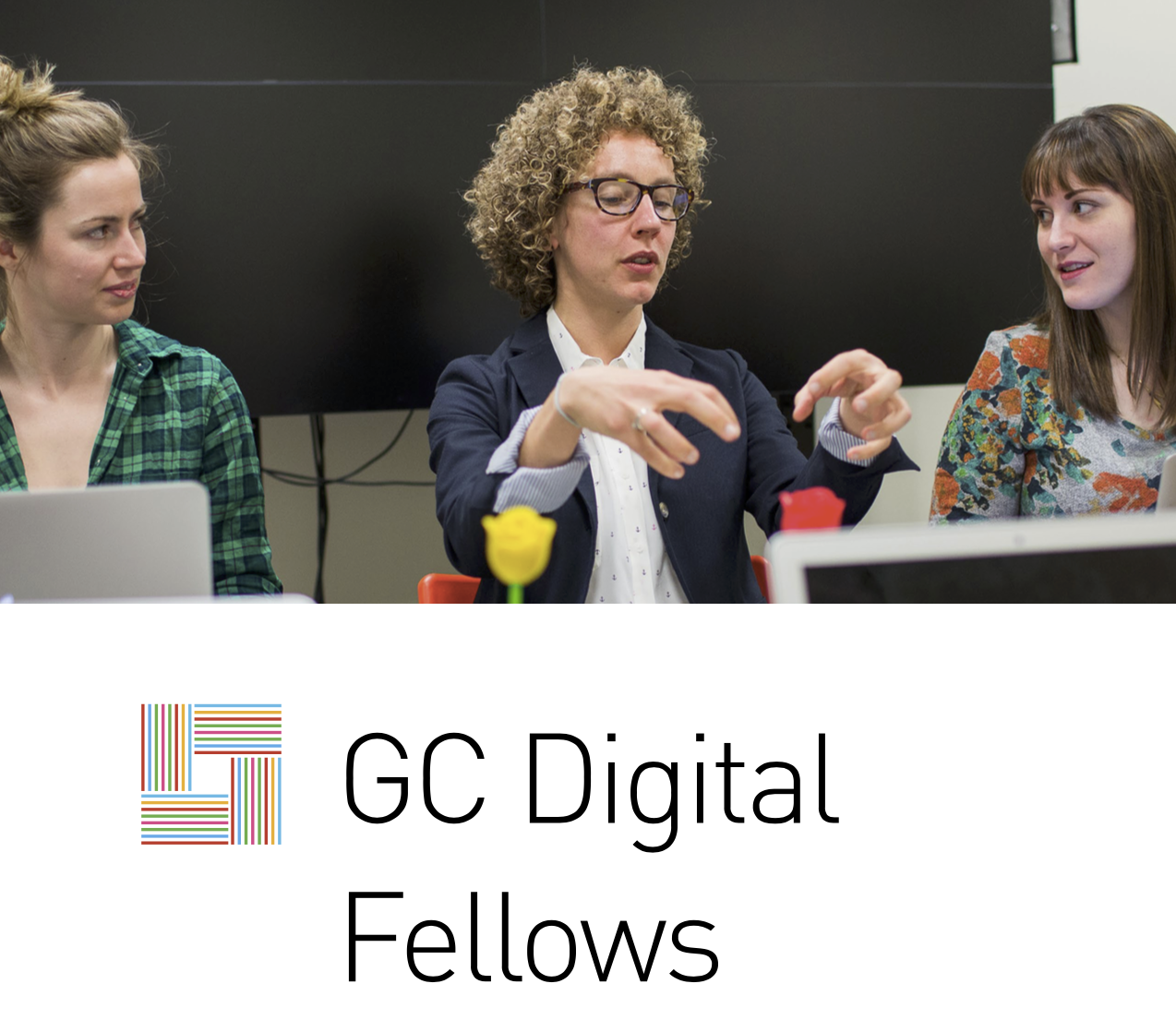 Digital Fellows 2014-2015 Year-end Report